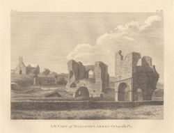 SW View of Mellifont Abbey